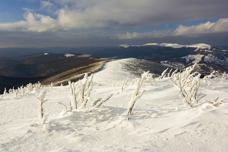 Bieszczady