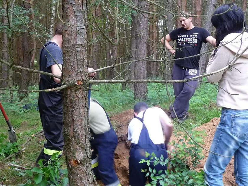 Zobacz supermenów spod Nowej Soli