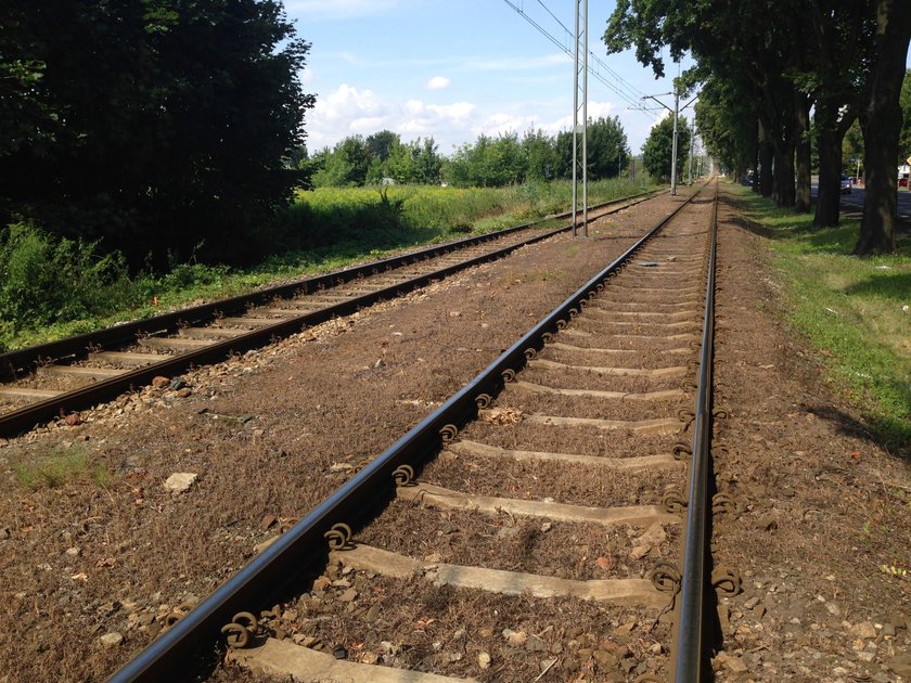 Torowisko tramwajowe w Leśnicy