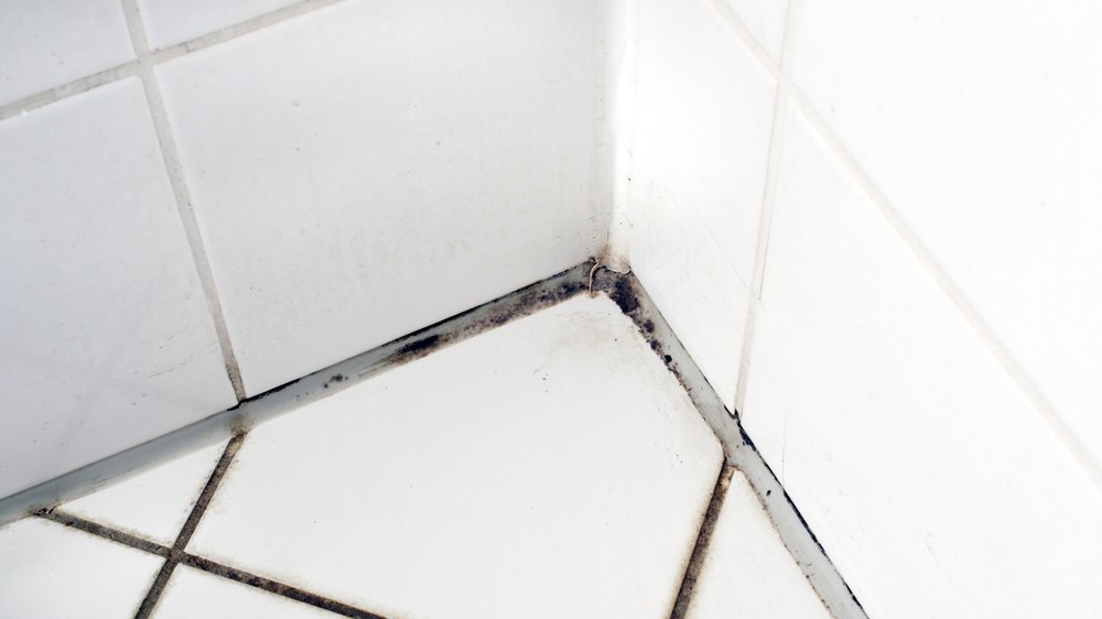 Keďže je silikón v porovnaní s bežnými škárovacími zmesami mäkší a pružnejší, pleseň doň dokáže preniknúť podstatne hlbšie.