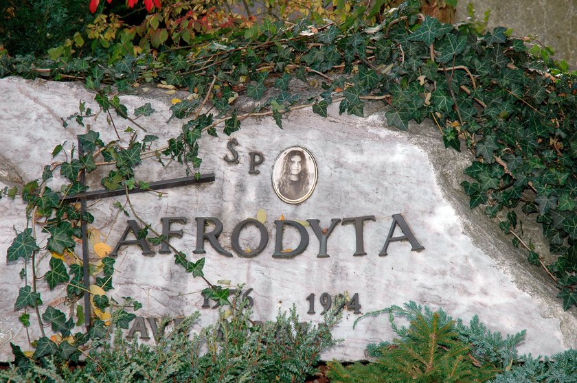 Afrodyta Tzoka