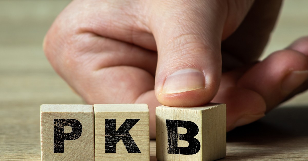 Prognoza prof. Gomułki: Wzrost PKB do 2029 r. stabilny, ale rośnie ryzyko długu publicznego