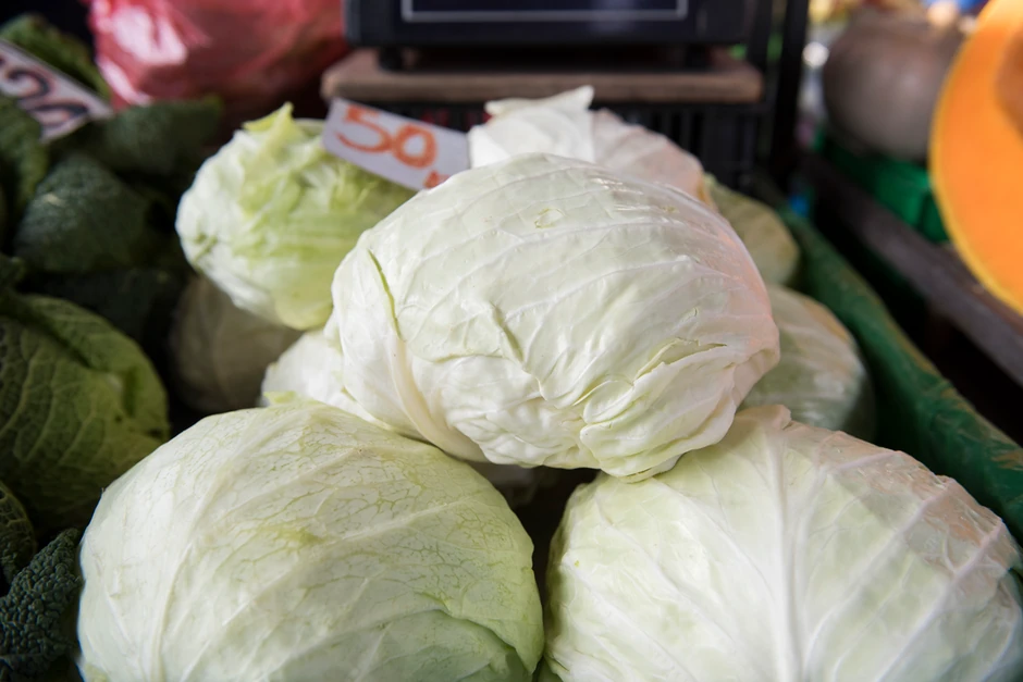 Dobar kupus mora da ima dobre i zdrave listove