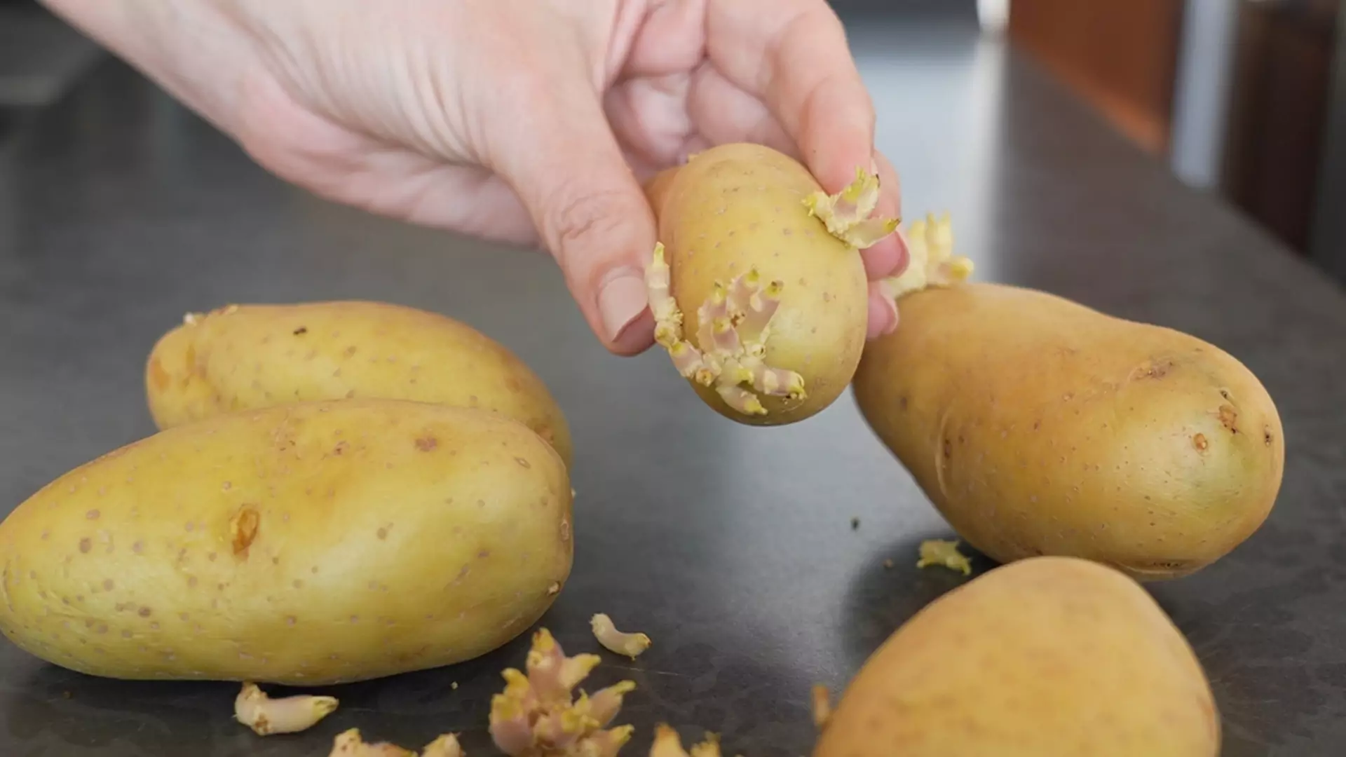 Czy ziemniaki z kiełkami są bezpieczne do spożycia? Wyjaśniamy