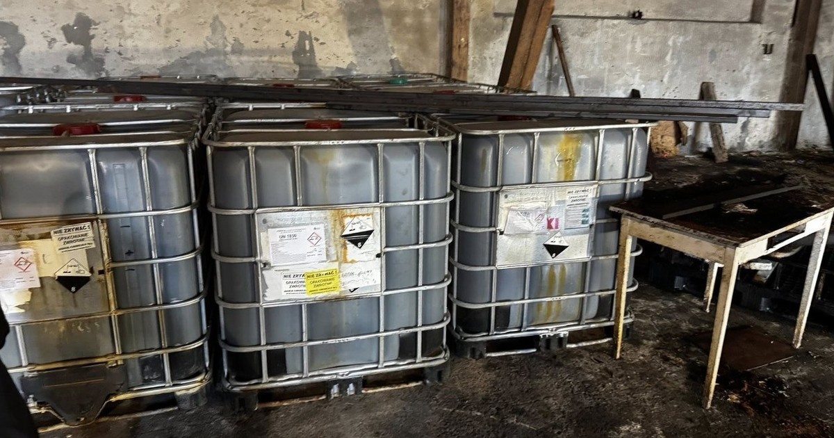 Tego nie spodziewali się w kanalizacji. Przerażające odkrycie