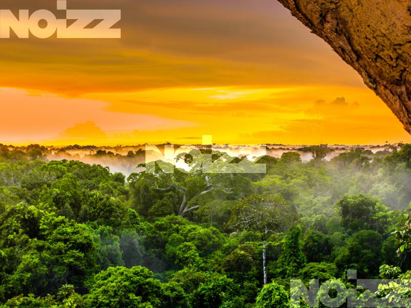 100 fokos folyó Amazónia esőerdejében - Noizz