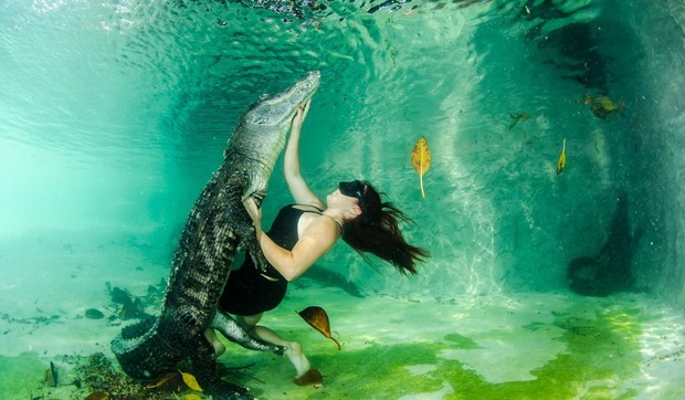 483254_profimedia0196624368