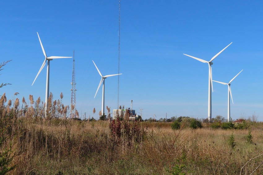 Kineski proizvođači već su prisutni u nekim zemljama EU-a.