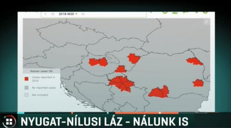 Részlet az RTL Híradóból