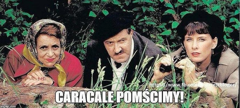 Tak wyśmiali eksperta Macierewicza. MEMY