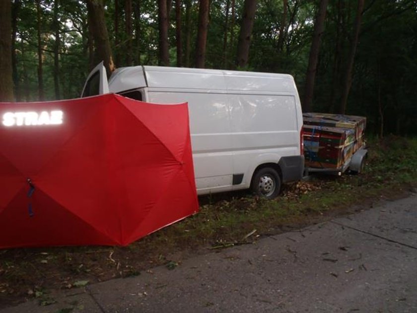 Tragiczny wypadek. Bus z pszczołami rozbił się o drzewo