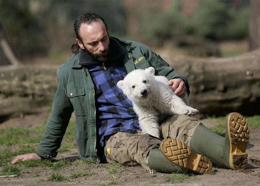 Knut został otruty?