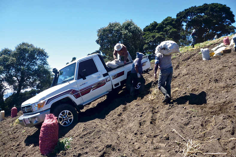 Toyota Land Cruiser na polu uprawnym w Kostaryce