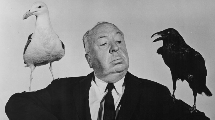 A felvétel 1963 körül készült. Alfred Hitchcock, a brit filmrendező (1899-1980) mindkét karján egy szárnyassal, egy sirállyal és egy hollóval pózol a Madarak című filmjének egyik reklámfotóján / Fotó: Getty Images