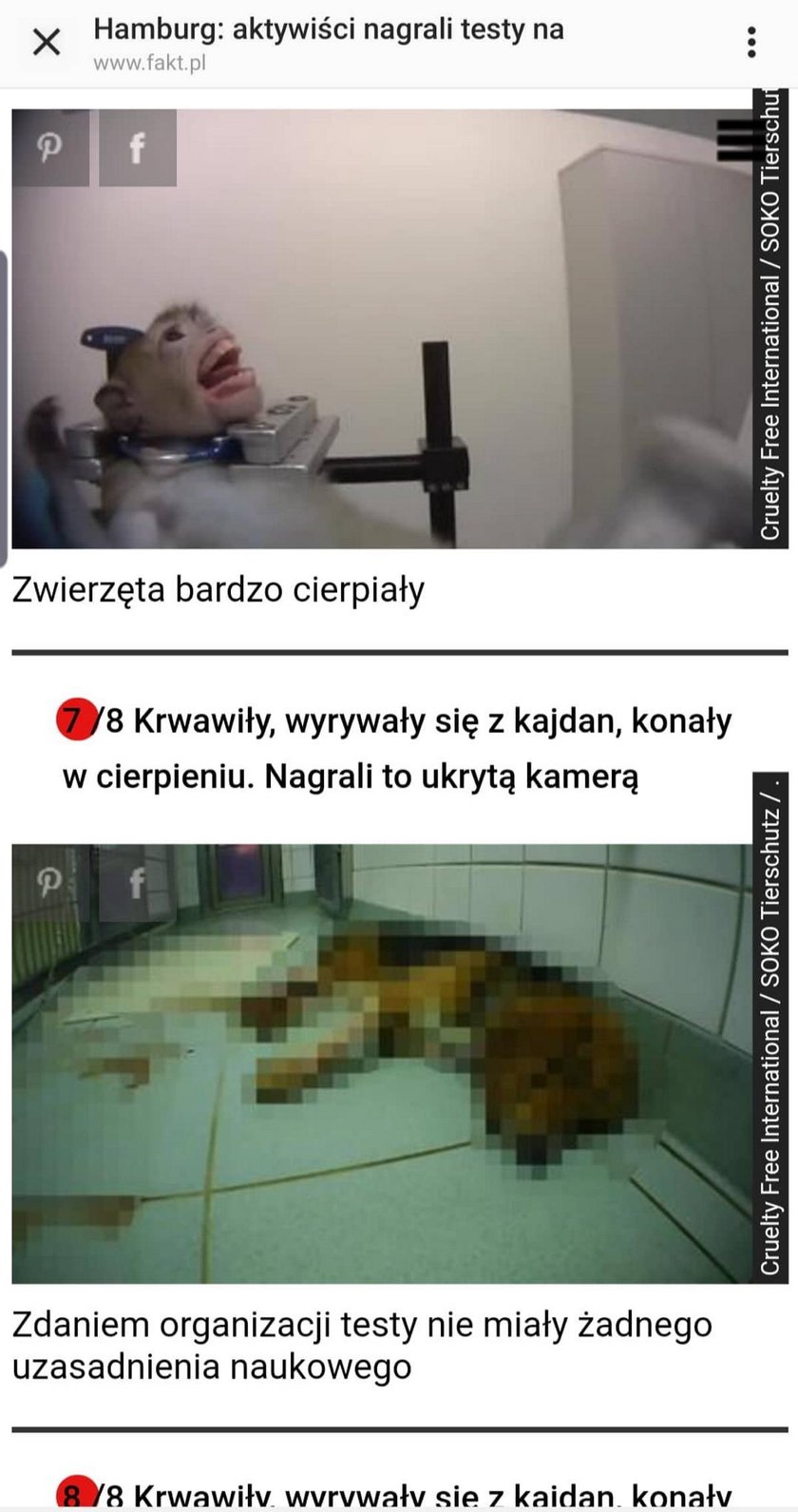 Screeny z artykułu Faktu