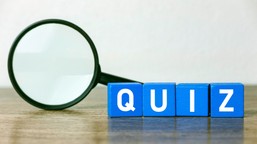 Sprawdź, czy jesteś omnibusem. Rozwiąż quiz z wiedzy ogólnej