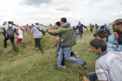 Węgierska operatorka skopała uchodźców. Została wyrzucona z pracy [WIDEO]