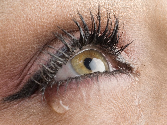 13220_a-shutterstock_13328872