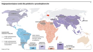 Polskie firmy internetowe podbijają nawet egzotyczne rynki