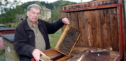 Sąd skazał moje pszczoły na śmierć