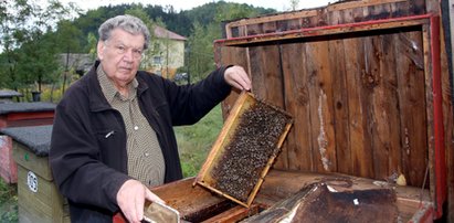 Sąd skazał moje pszczoły na śmierć