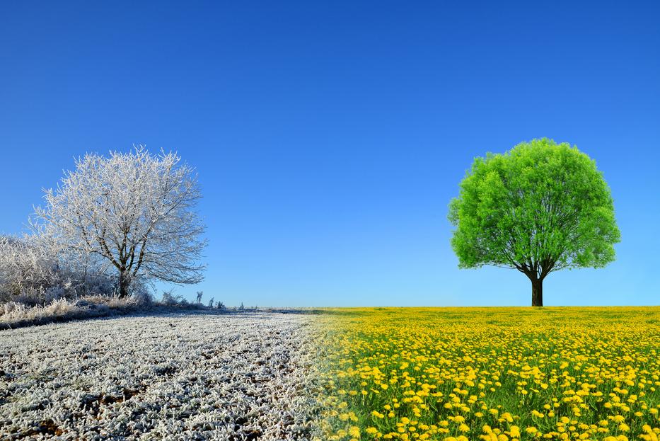 fotó: iStock