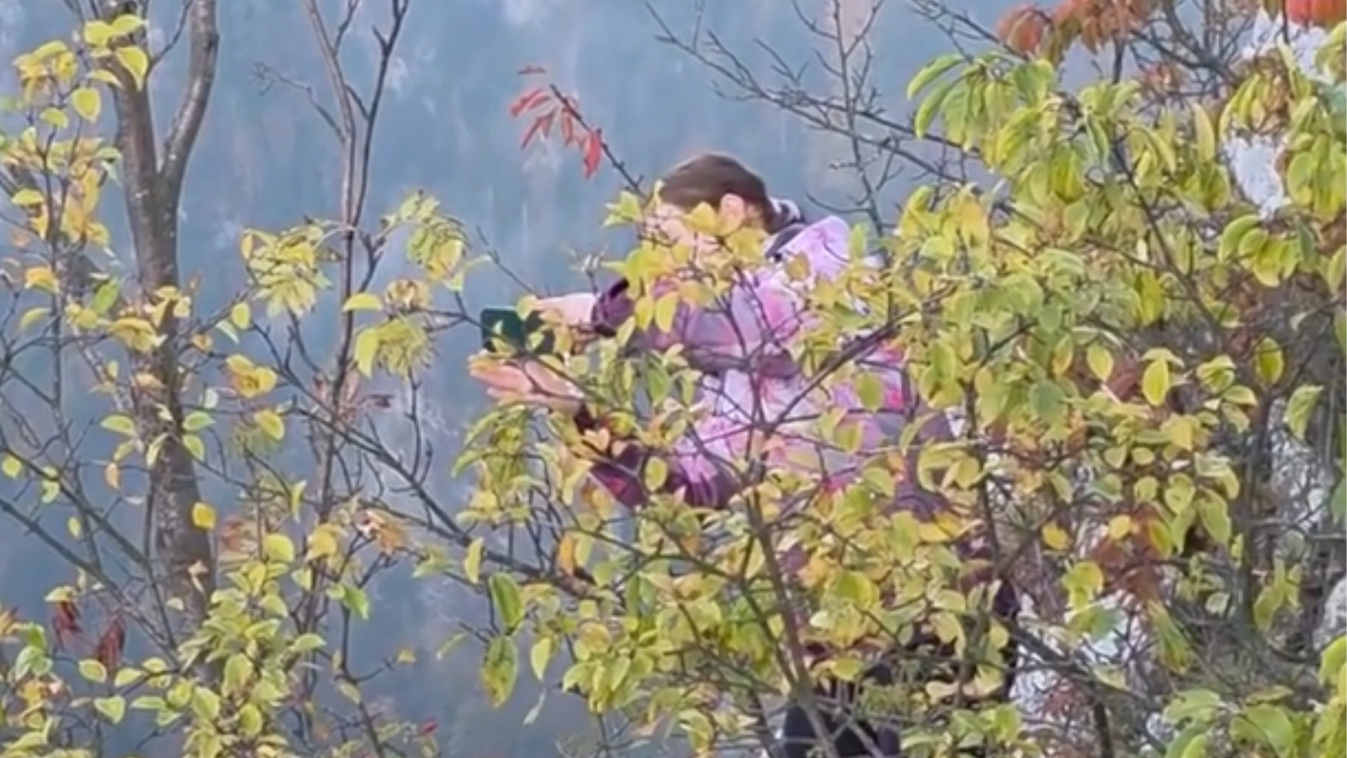 Incident sa ľahko mohol skončiť tragicky.