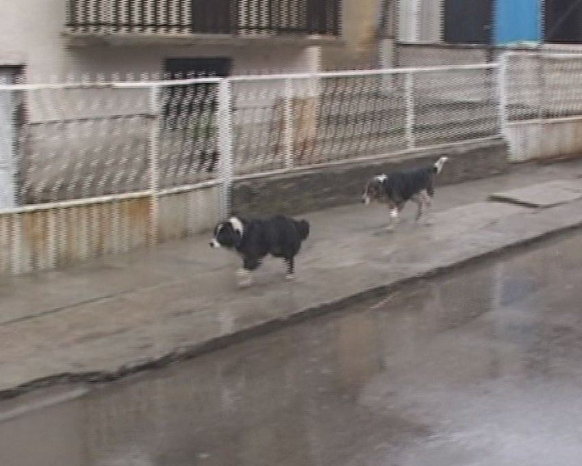 Milionski iznosi se isplaćuju i u manjimn gradovima, poput Pirota