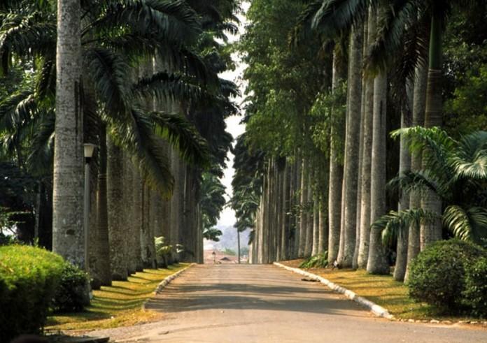 Tourist sites in Ghana: Aburi Botanical Gardens