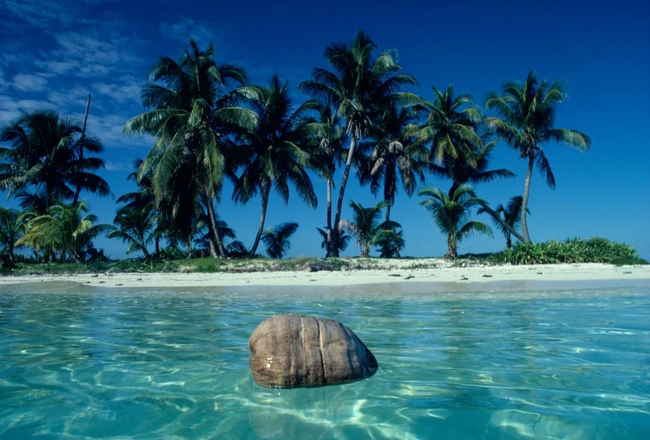 Preživeli su vadeći plutajuće kokosove orahe iz mora i sakupljajući kišnicu