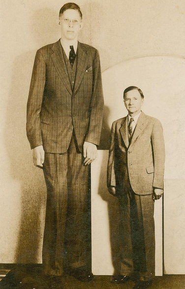 Robert Pershing Wadlow był Amerykaninem, który urodził się w Alton w stanie Illinois. Jego wzrost wynosił 2,72 m, przy wadze 199 kg. Wielkie rozmiary i ciągły rozrost mężczyzny w dorosłym wieku spowodowane były przerostem przysadki mózgowej. Zmarł w wieku 22 lat w 1940 r.