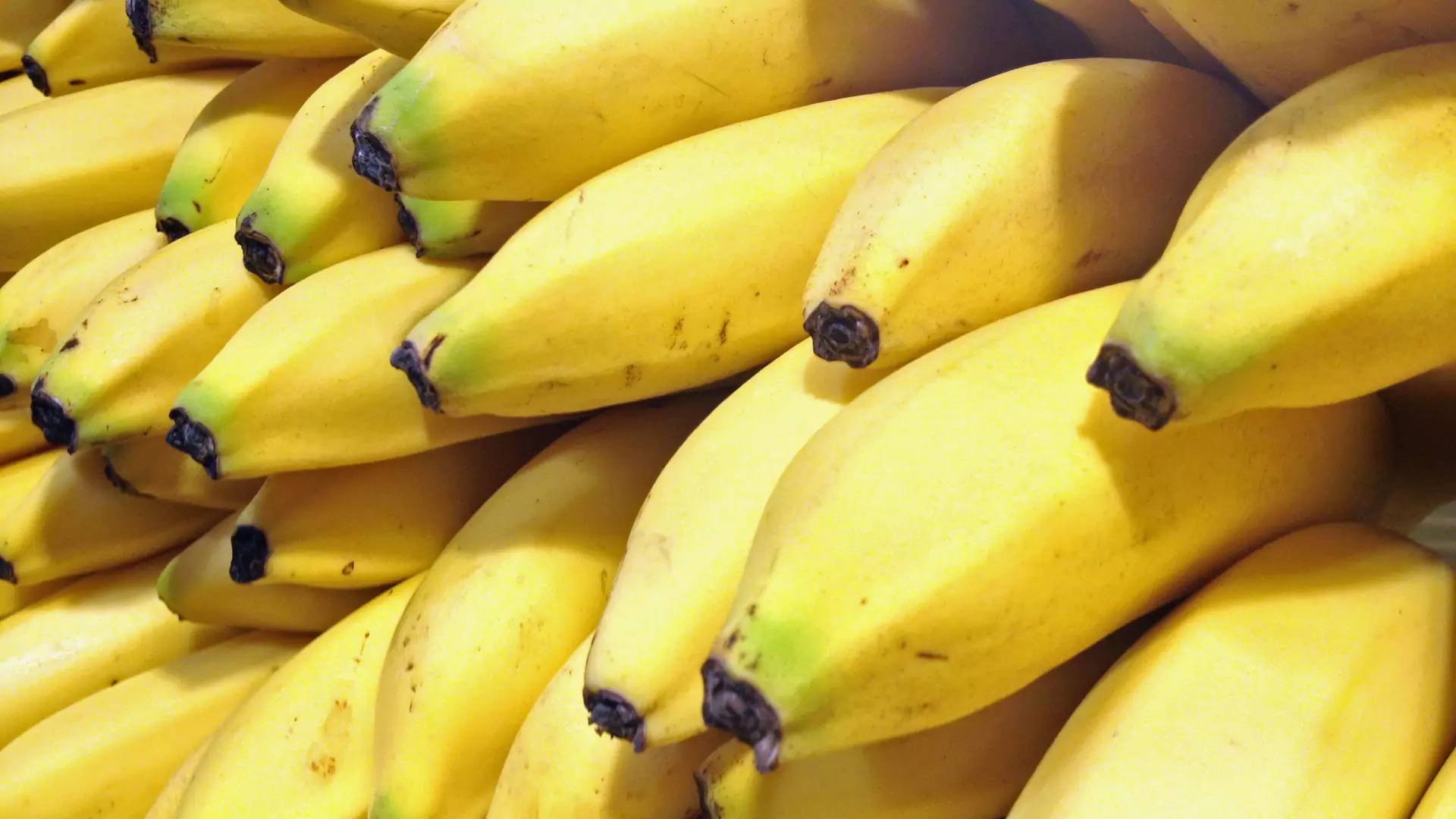 Po obejrzeniu tego wideo nie będziecie już chcieli jeść bananów