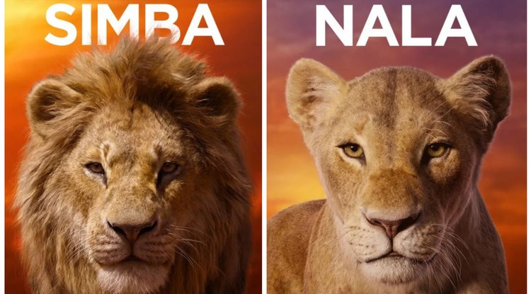 Simba/ Nala