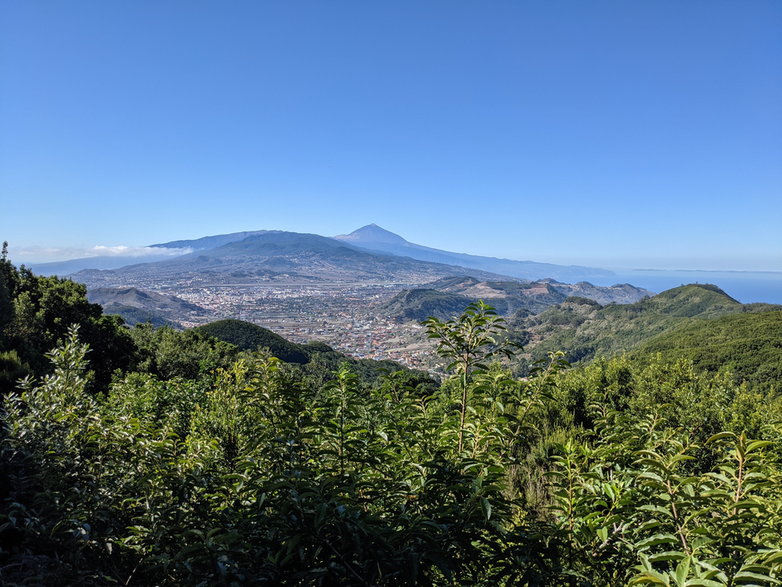 Góry Anaga – punkt widokowy Cruz del Carmen. Teneryfa