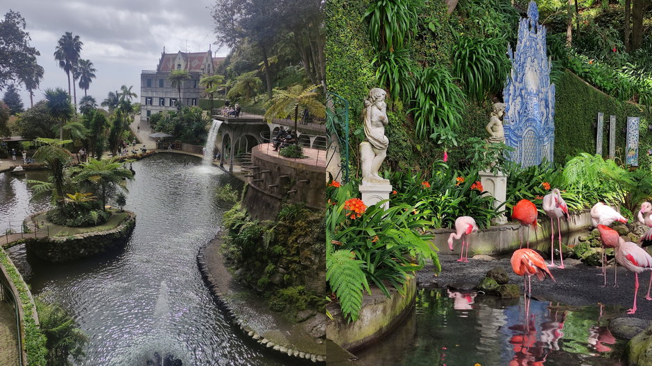 Ogród botaniczny Monte Palace Tropical Garden to obowiązkowy punkt każdej wycieczki po wyspie