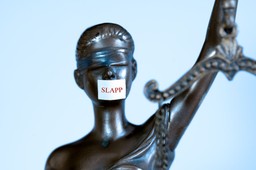 rpo: przygotowany przez ms projekt nie chroni skutecznie przed pozwami