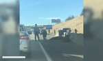 Krowy spadły z wiaduktu na autostradę w amerykańskim stanie Utah