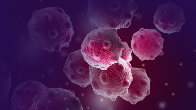 Komórki nowotworowe w komputerowej wizualizacji 3D