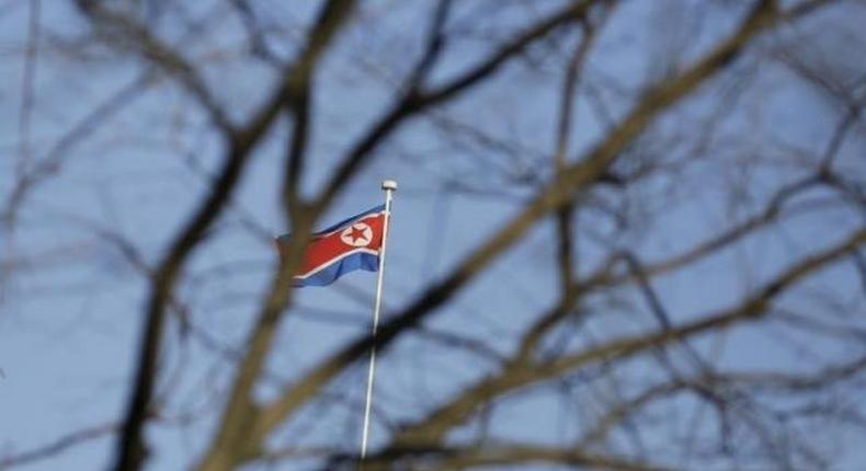 Defector arrested in N.Korea for plotting kidnappings with South - reports