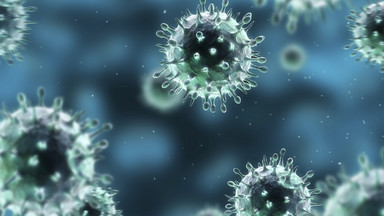 Wirus świńskiej grypy wykryto u mieszkanki Olsztyna