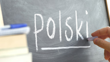 Wielki quiz z języka polskiego. 20/20 tylko dla erudytów [QUIZ]