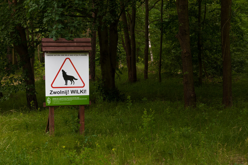 Znak ostrzegawczy przed wilkami