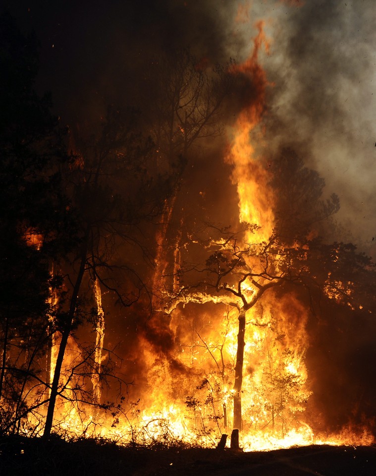 USA TEXAS WILDFIRES