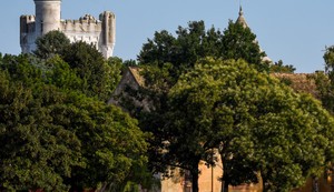 Vučić najavio veliku fabriku u Novom Bečeju: