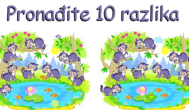 Skrivalica, pronađi razliku