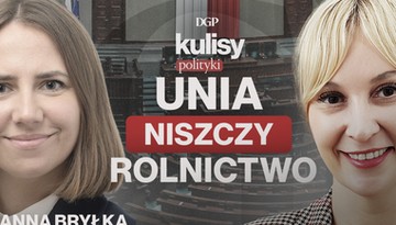 Bryłka: UE przeciw rolnikom. Merkosur to zdrada wsi [KULISY POLITYKI]