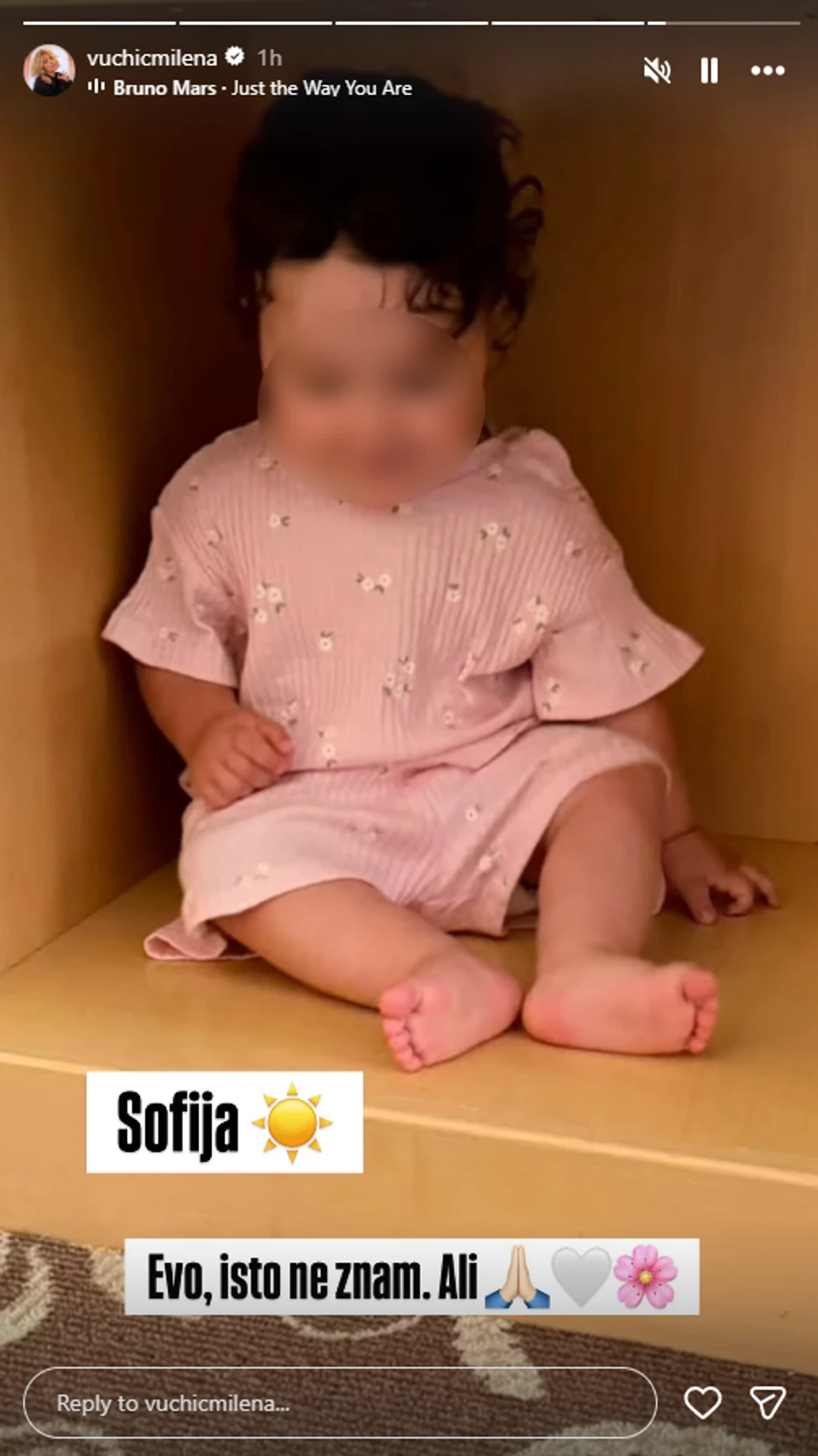 Milena Vučić 