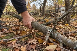 Uzeo granu i od njen napravio prelepu dekoraciju