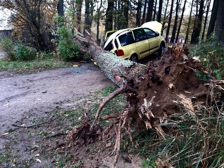 Zerwane linie energetyczne, uszkodzone pojazdy i powolne drzewa. Nad regionem przechodzi wichura