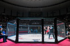 'Boxdel' i szefowie Fame MMA zatrzymani przez CBŚ. Mają usłyszeć zarzuty